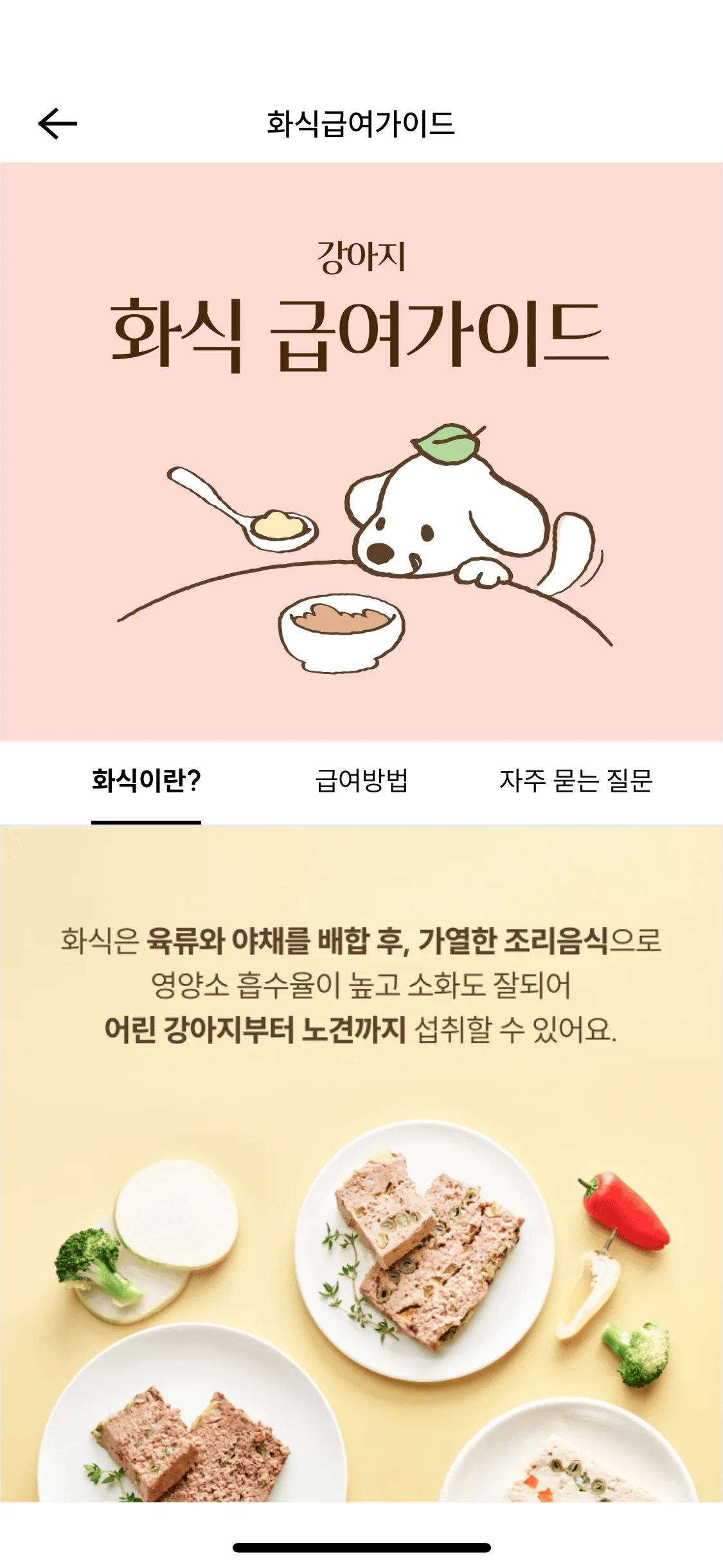 Test Image 1